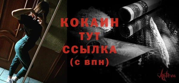 гидра Богданович