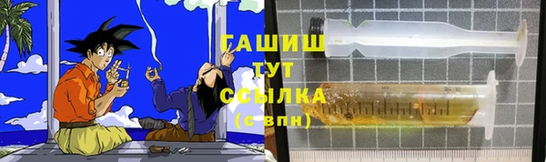 гидра Богданович