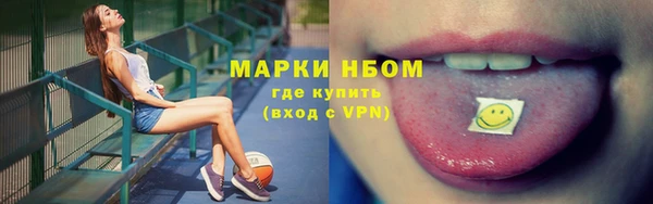 гидра Богданович