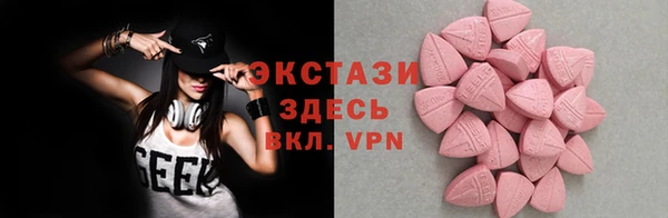 гидра Богданович