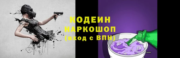 гидра Богданович