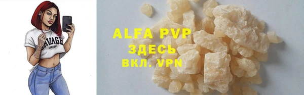 гидра Богданович