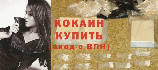 гидра Богданович