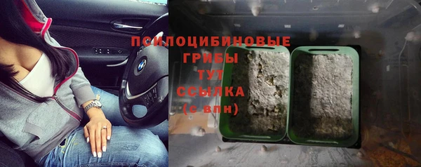 мдма Богородицк